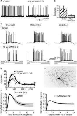 Cannabinoids Modulate Light Signaling in ON-Sustained Retinal Ganglion Cells of the Mouse